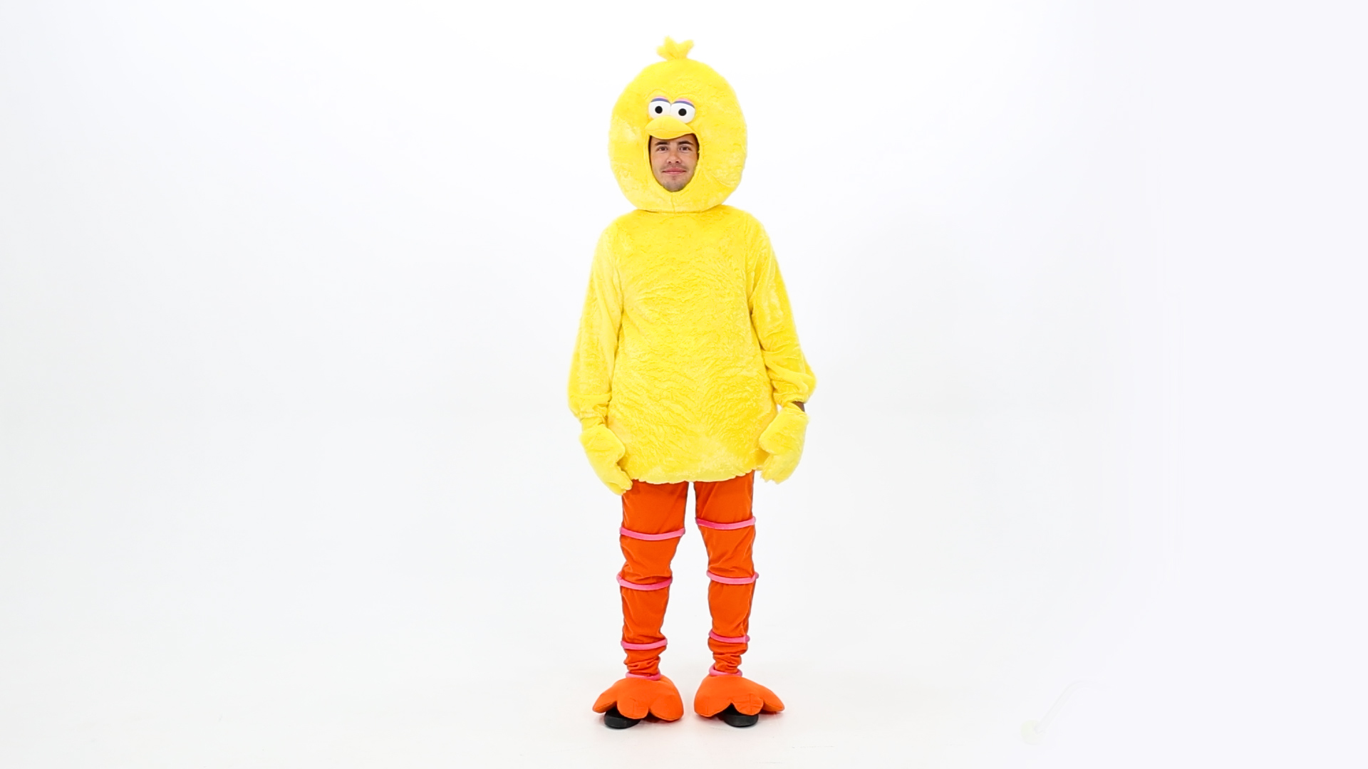 FUN2561AD Sesame Street Big Bird Costume for Adults